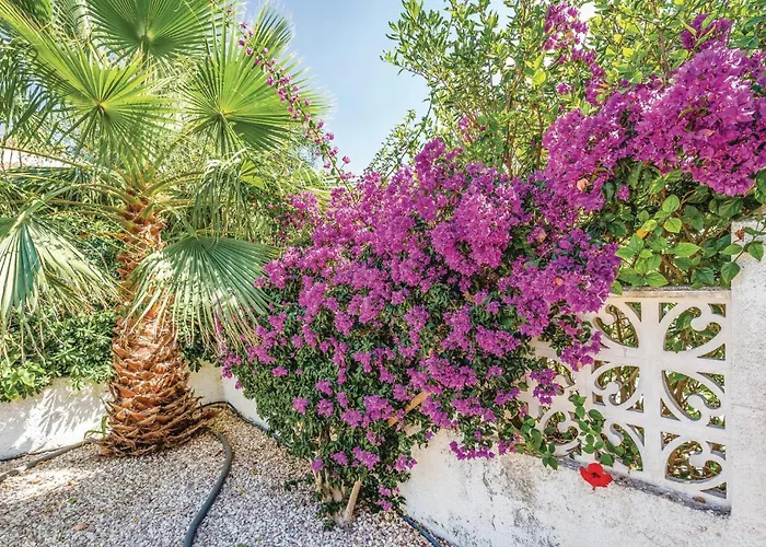 度假居 Urb San Luis *